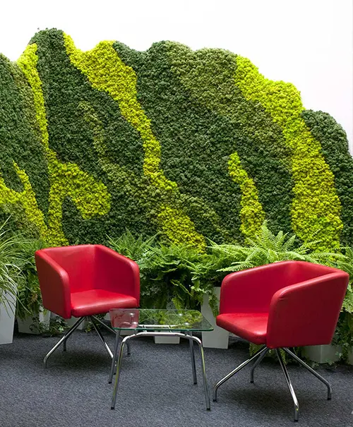 4Nature Moss - green moss walls