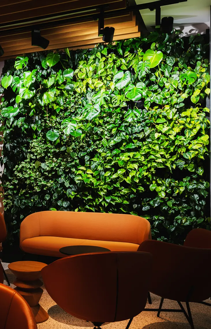 Zielona ściana z roślin - dlaczego warto