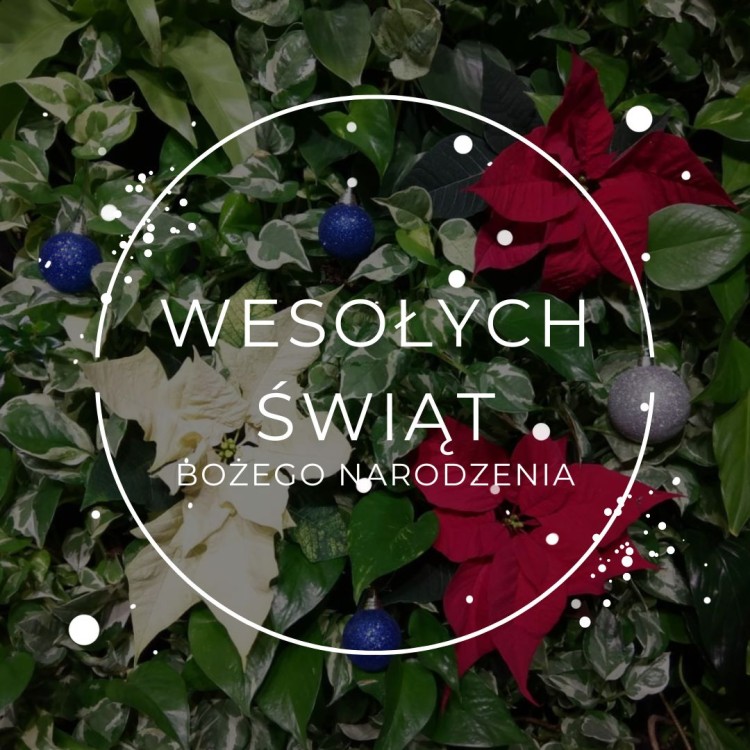 Wesołych Świąt życzy 4 Nature System