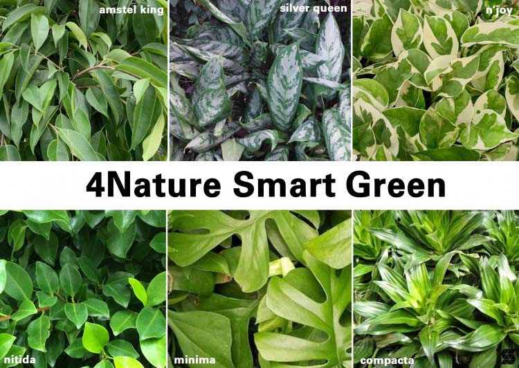 3 cechy, które wyróżniają linię mebli 4Nature Smart Green