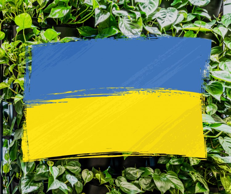 ukraine, support, no war