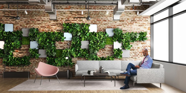 Vitis - a green wall in a new lighter version