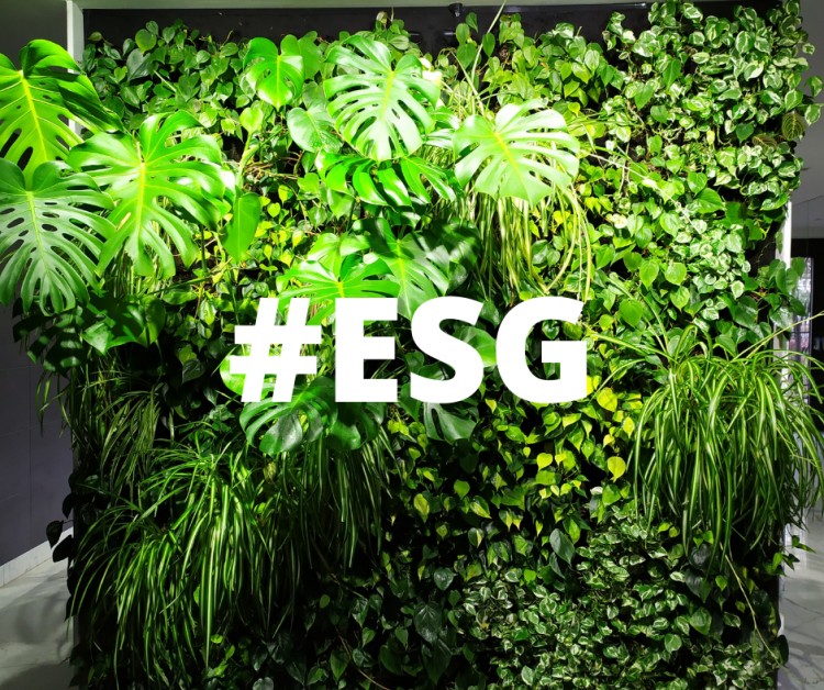 esg, environment, social, governance, green office