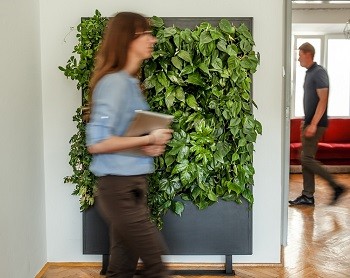 Green walls and ergonomic of work