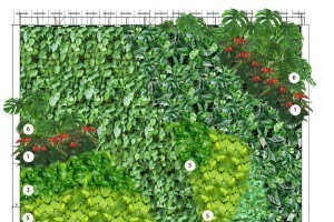 Green wall step by step