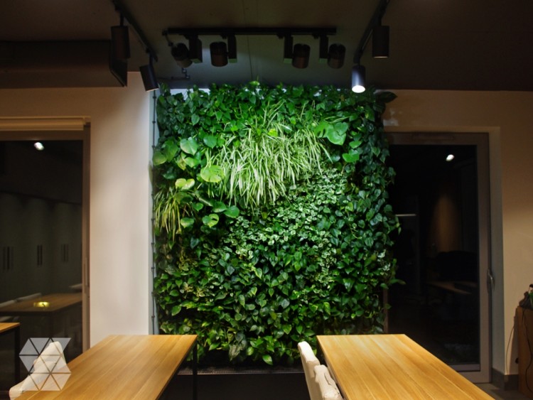 Green Walls - Frequently Asked Questions