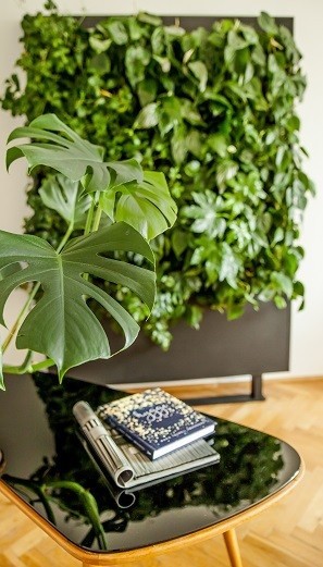 Potted Flowers - which of popular plants can be planted on a green wall?