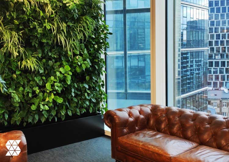 The latest trends in Biophilia