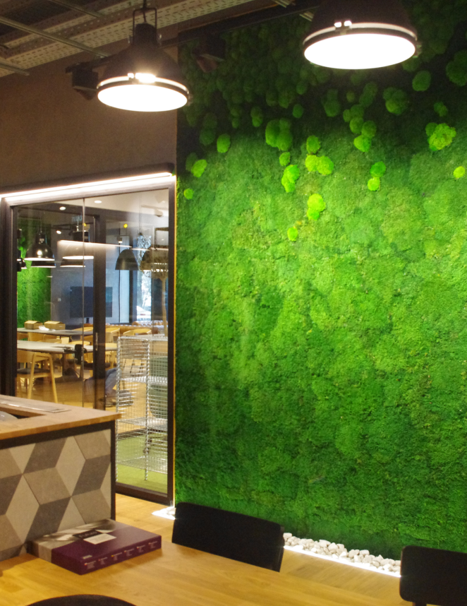 zielone ściany z mchu
