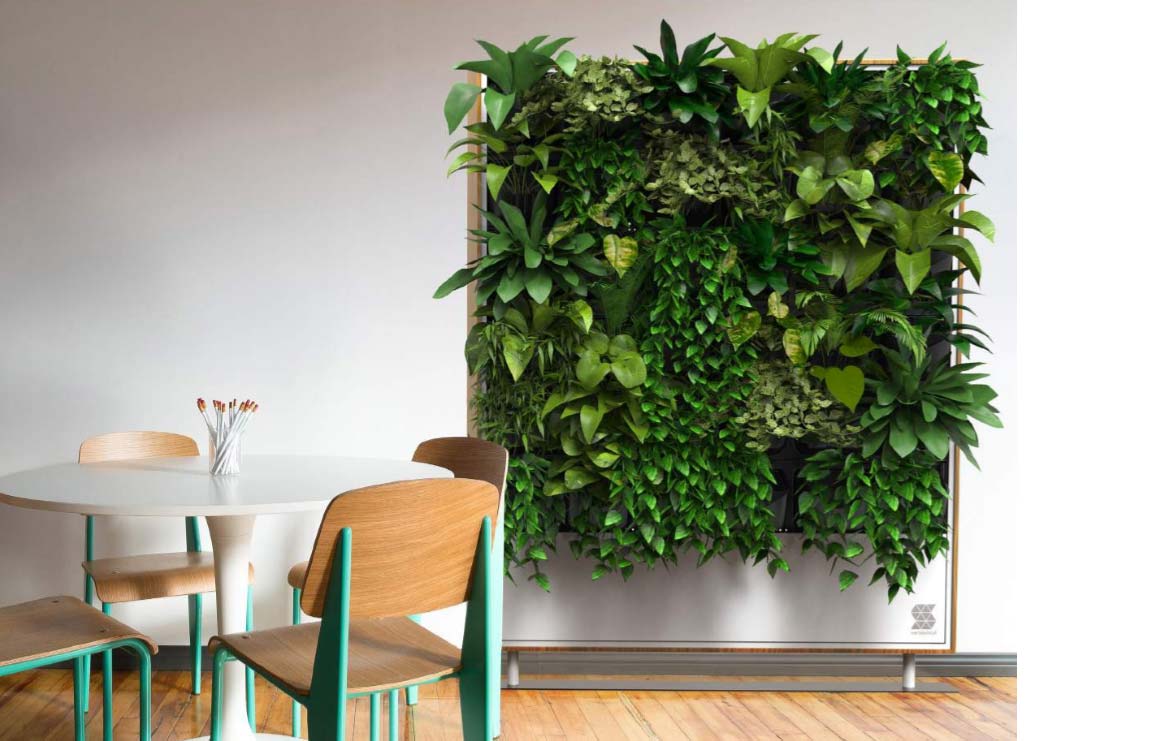 ściana z żywych roślin - stojąca