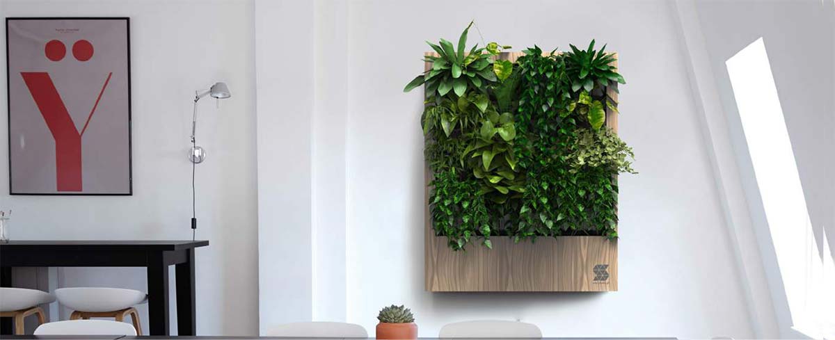 ściana z żywych roślin - wisząca