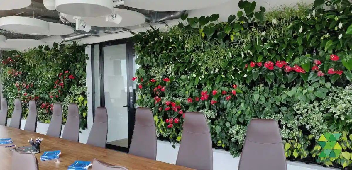 apologi Håndfuld skygge Vertical garden - green wall plants | 4Nature System