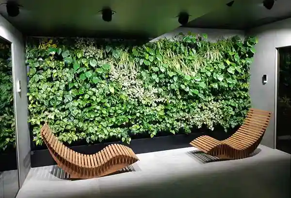 zielone ściany z roślin