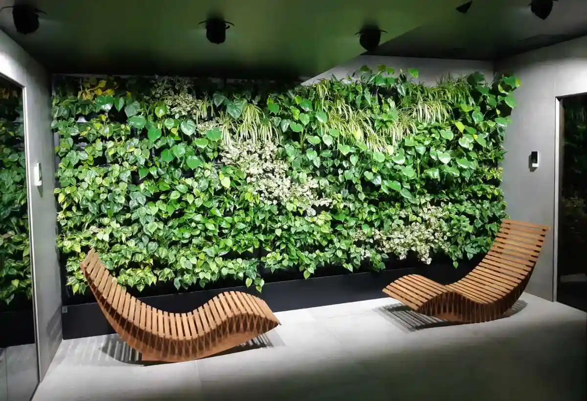 apologi Håndfuld skygge Vertical garden - green wall plants | 4Nature System
