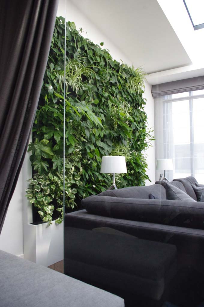 zielone ściany z żywych roślin