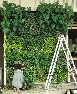green walls with plants