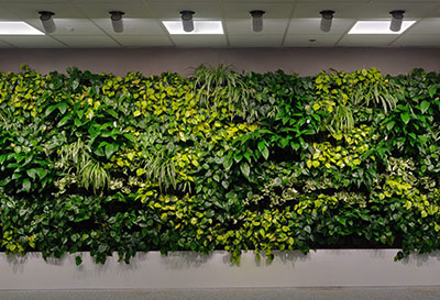living wall