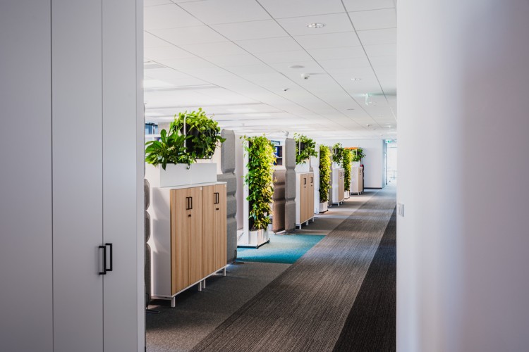 Biuro dobre do pracy (nie tylko) dla neuroróżnorodnych?