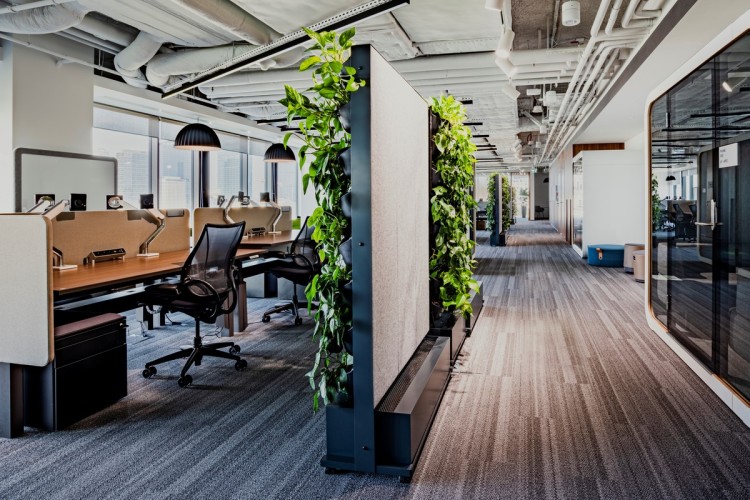 Neuroarchitektura: architektura, która działa