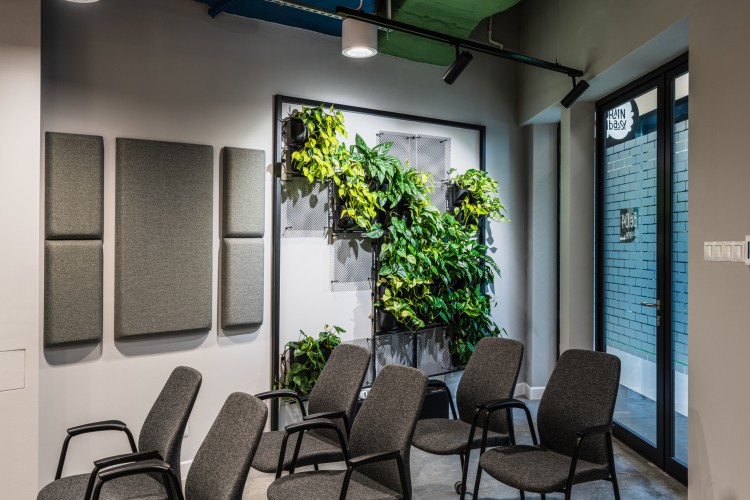 4Nature Vitis najprawdopodobniej najbardziej oszczędne zielone ściany na rynku