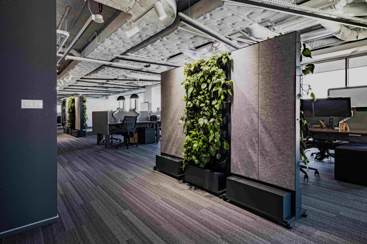 Biofiliczny design i zielone ściany w neuroróżnorodnym biurze