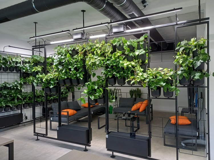 Dynamiczne aranżowanie przestrzeni biurowych z wykorzystaniem modułowych systemów roślin