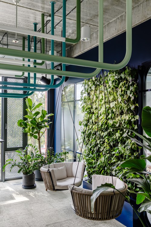 Jak rośliny sprawiają, że strefa regeneracji jest doskonała?