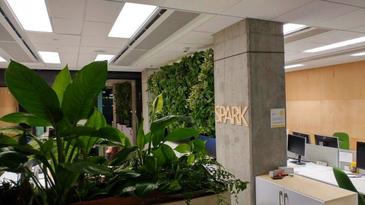 Jak zapewnić pracownikom bezpieczny, komfortowy powrót do biura?