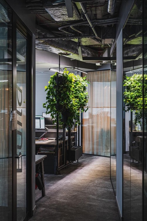 Jak zoptymalizować przestrzeń w małym biurze i wypełnić ją roślinami?