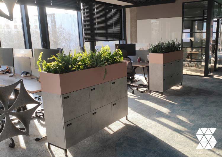 Kluczowe założenia biophilic designu