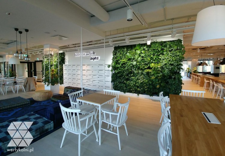 Pionowe ogrody i inne biofiliczne rozwiązania