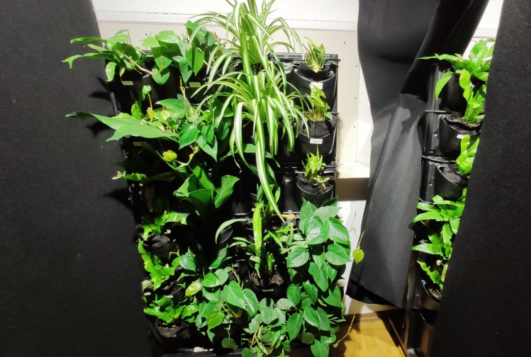 Prace badawcze 4Nature System