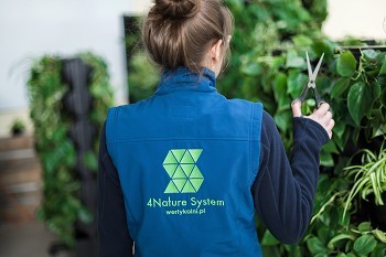 Green wall maintenance process – how do we care for vertical gardens?