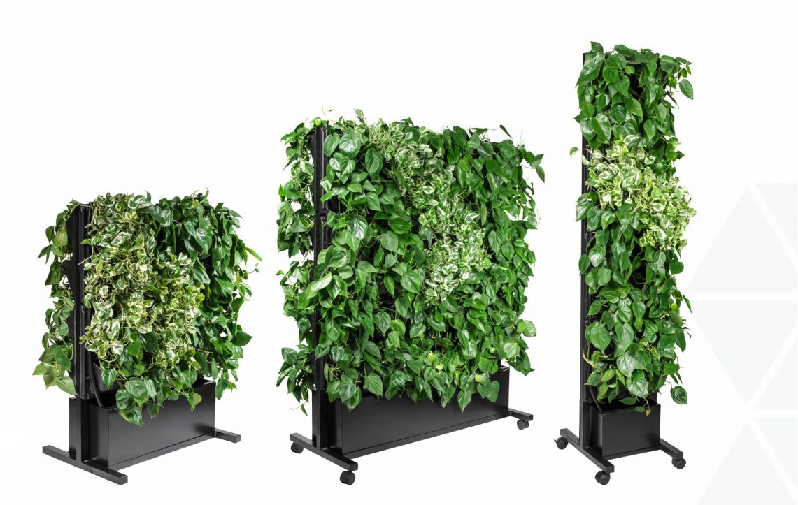 roślinne prototypy zielonych ścian