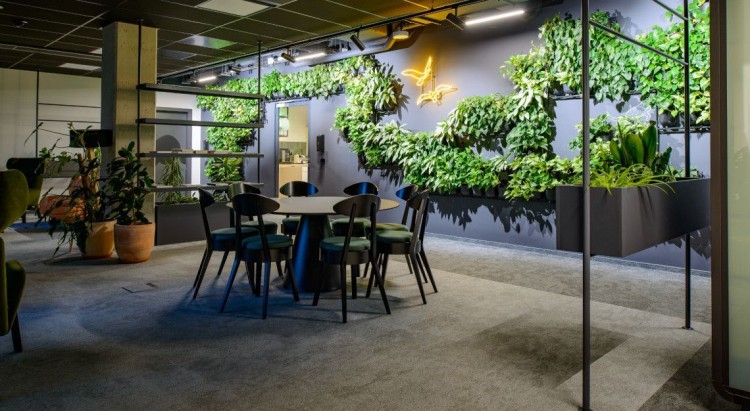 Rośliny doniczkowe kontra ściany z roślin