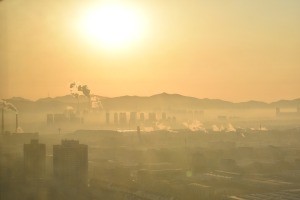 Smog a naturalne oczyszczanie powietrza