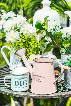 Urlop a rośliny w domu