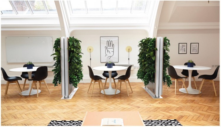 Zieleń w biurze i jej wpływ na pracowników biurowych – wywiad z Beatą Dziedzic