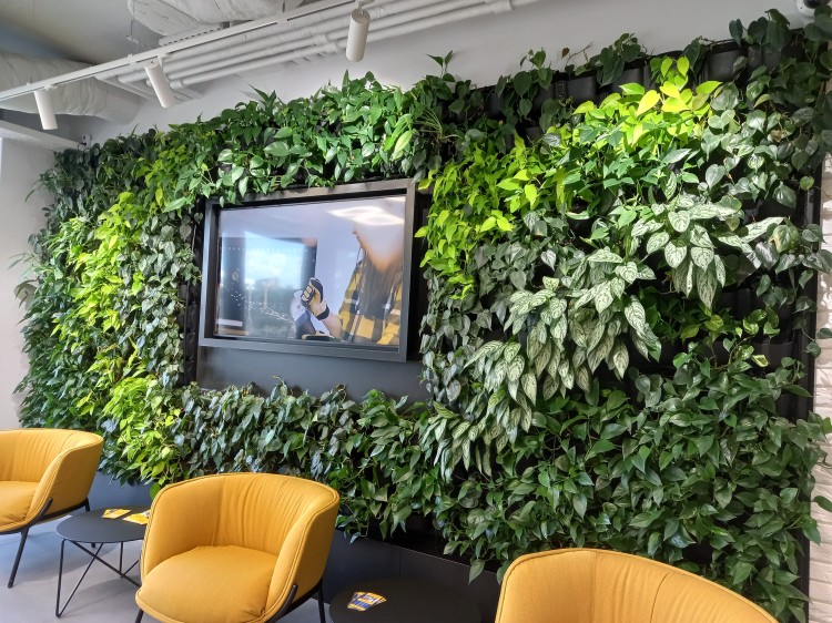 Zielone ściany i ogrody wertykalne, czyli mech kontra rośliny