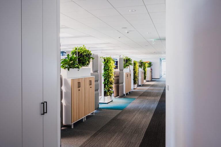 Zielone ściany z roślin i mchu ? dlaczego warto?