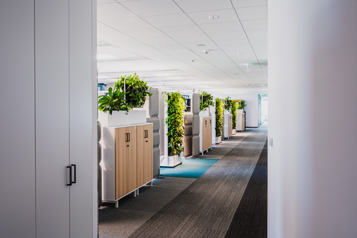 Zielone ściany z roślin i mchu ? dlaczego warto?