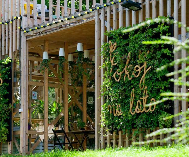 Zielone ściany sezonowe w kawiarni Pokój na lato