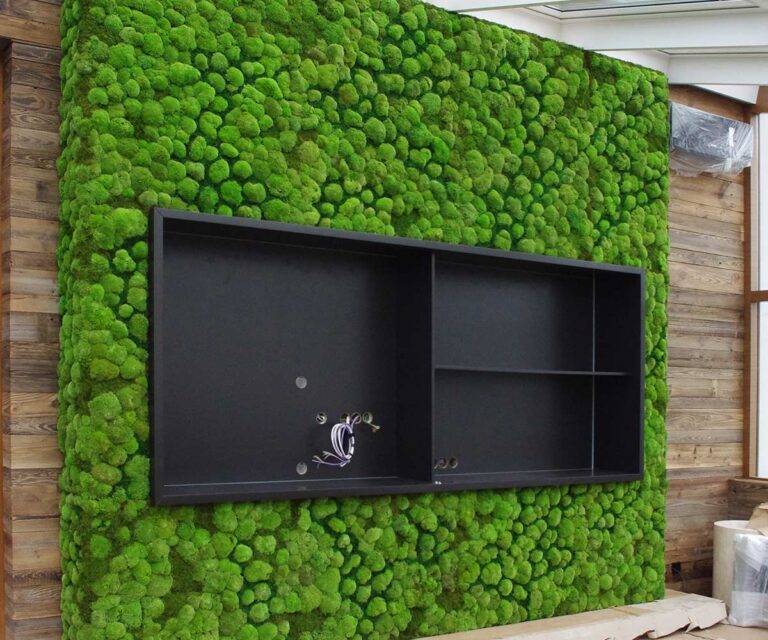 Zielona ściana z mchu leśnego w oranżerii