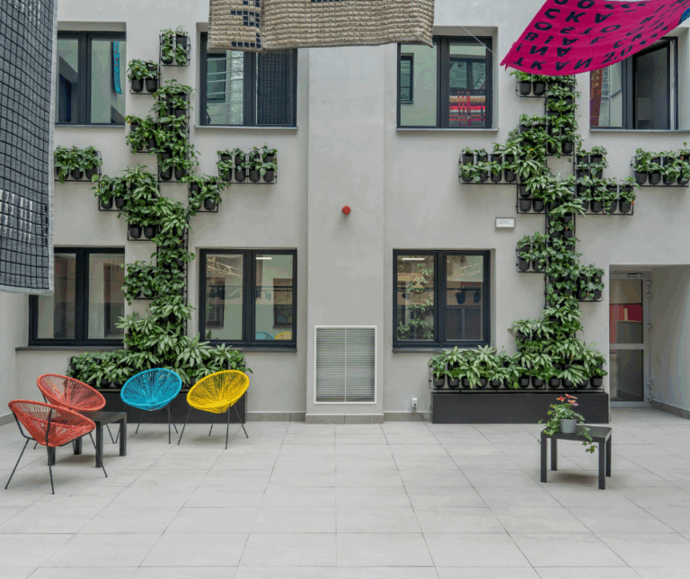 4Nature Vitis w Centrum Kultury i Sztuki w Skierniewicach