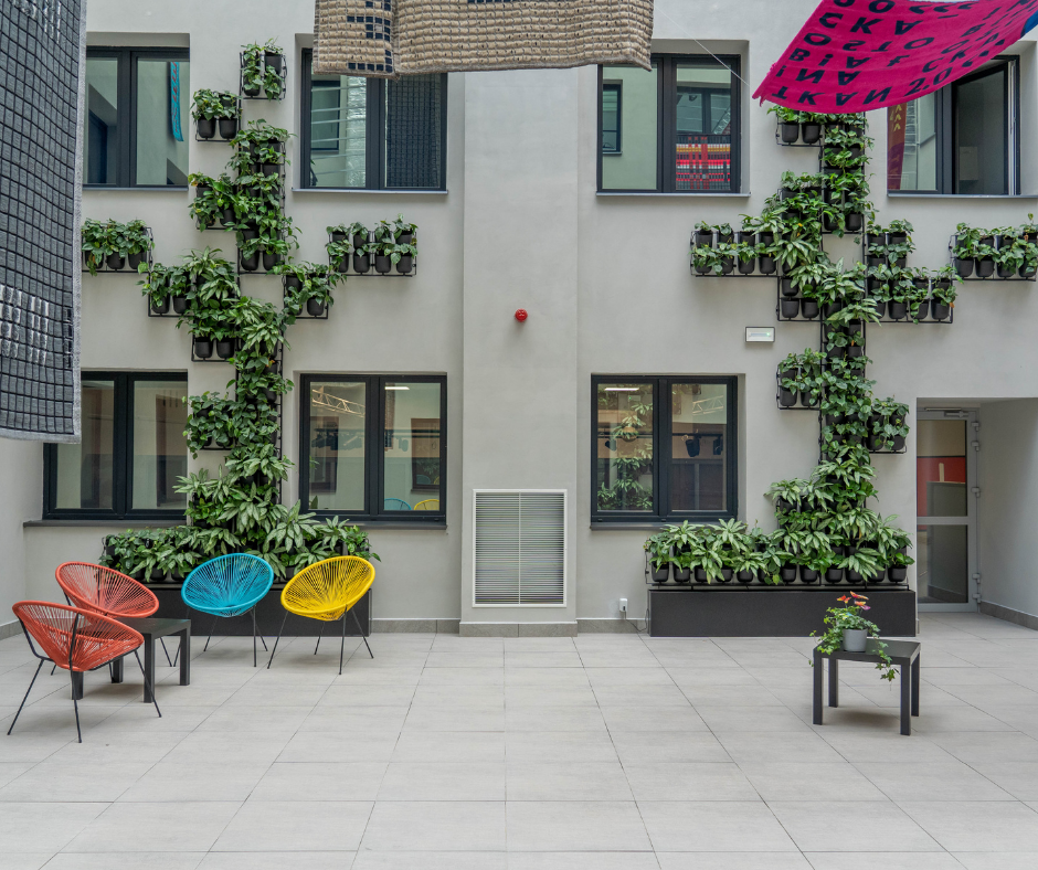 4Nature Vitis w Centrum Kultury i Sztuki w Skierniewicach