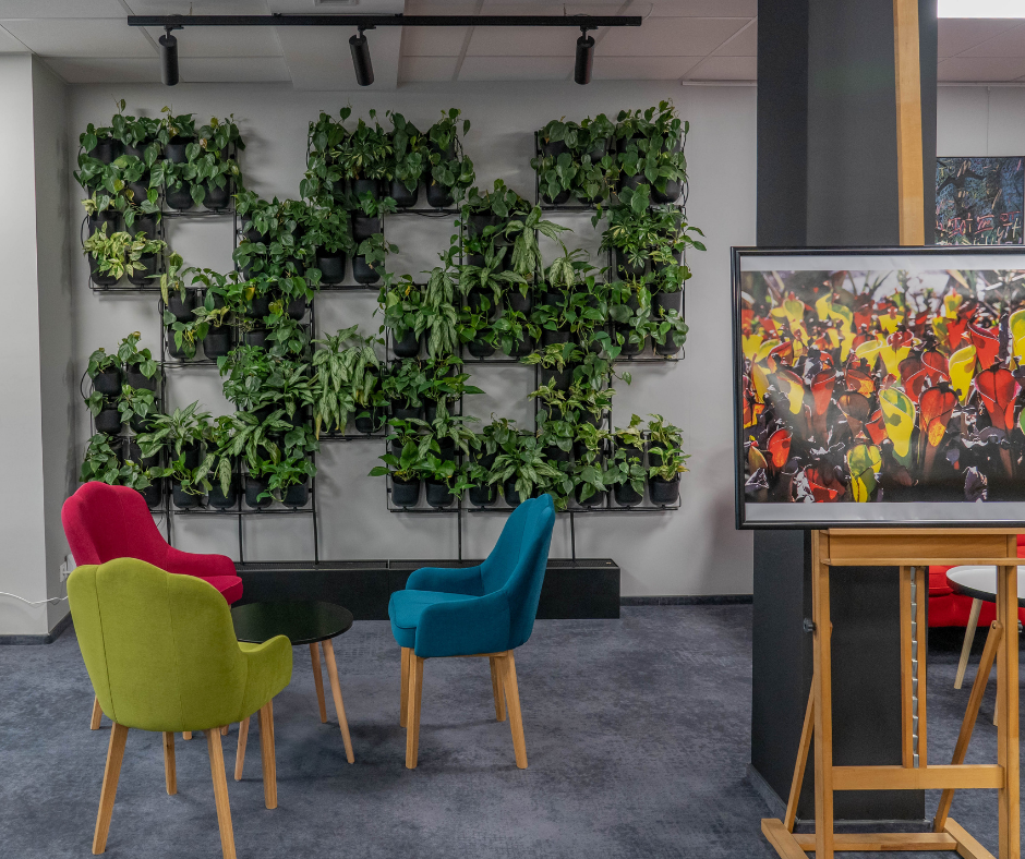 4Nature Vitis w Centrum Kultury i Sztuki w Skierniewicach