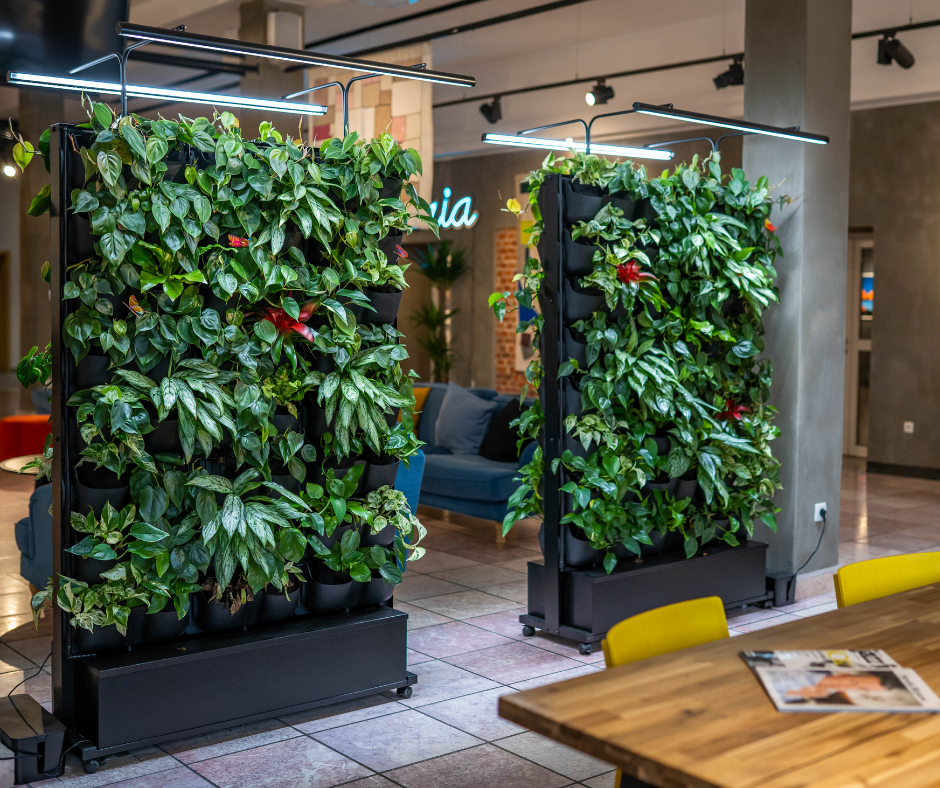 4Nature Vitis w Centrum Kultury i Sztuki w Skierniewicach