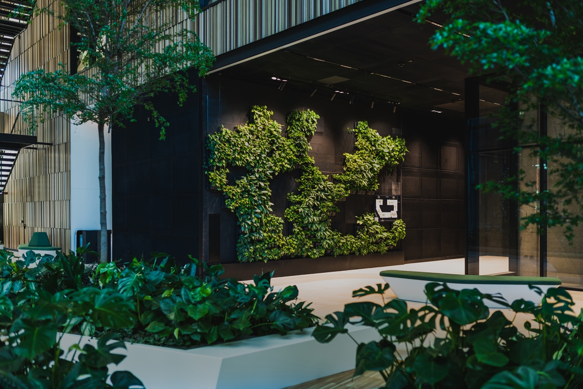 4Nature Vitis w najbardziej zielonym kampusie Forest