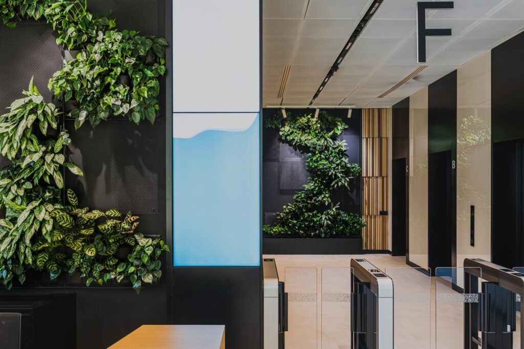 4Nature Vitis w najbardziej zielonym kampusie Forest