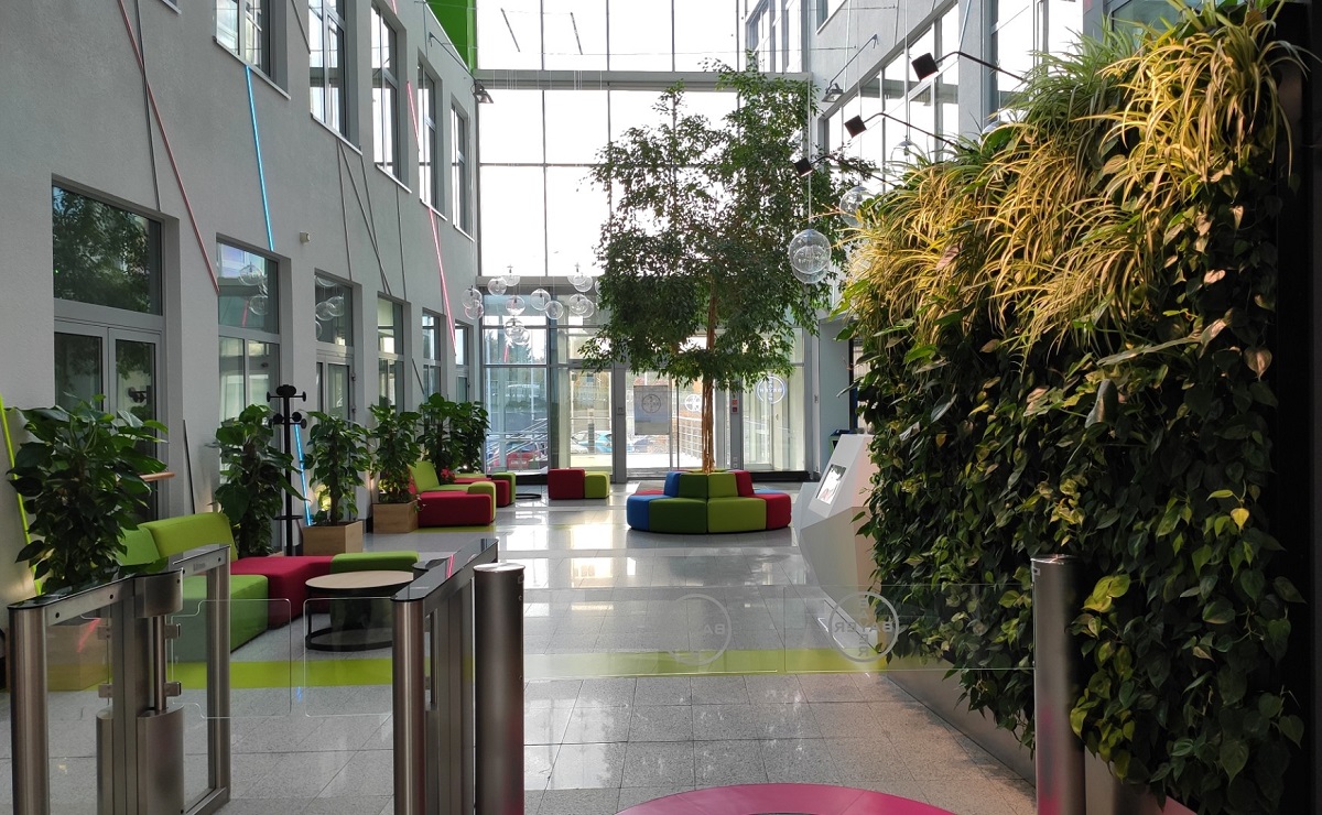 Firma: Bayer
Miasto: Warszawa
Strefa: strefa reprezentcyjno-wypocznkowa w recepcji
Termin realizacji: 2019
Metraż: 16m2 zielonych ścian, 11 donic
Dla jednego z naszych klientów - Firmy Bayer - przygotowaliśmy aranżację wnętrza recepcji w oparciu o geometryczną kompozycję. Prostopadłe ściany pokryte żywymi roślinami stworzyły kompozycję otwartego kwadratu. Bujna i zróżnicowana gatunkowo roślinność doskonale eksponuje wejście do recepcji. Dodatkowo, specjalistyczne oświetlenie wydobywa głębię kolory i strukturę roślin, tworząc jednocześnie warunki do ich rozwoju. Podświetlone logo firmy wkomponowane w roślinność wzmacnia efekt trójwymiarowości.
Na powierzchni biurowca pojawiła się ponadto zieleń doniczkowa m.in. z dwubarwnym epipremium ustawione w linii wzdłuż ścian tworząc naturalne szpaler z żywych roślin. Uzyskana w ten sposób kompozycja roślin jest harmonijna i bardzo dobrze wzmacnia charakter miejsca i funkcję recepcji. Dodatkowo, złożoność tekstur i wybarwienia roślin idealnie podkreślają kolory mebli. Zastosowanie roślinności właśnie w tej części biura firmy daje oczekującym Gościom poczucie bezpieczeństwa i chwilę relaksu, jakie często daje nam kontakt z naturą.